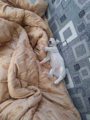 ���� �������� � ������� ����� ������� � �����������