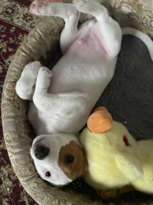 ���� �������� � ������� ����� ������� � �����������