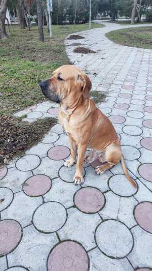 ������ ���� ���������� �����