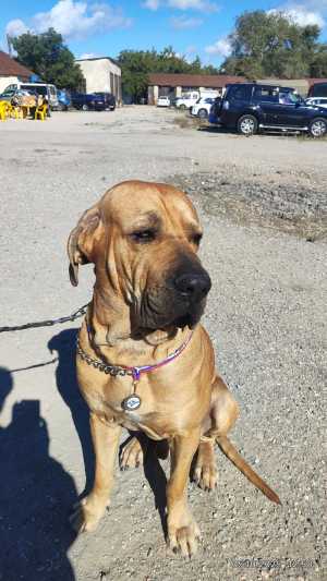 ������ ���� ���������� �����