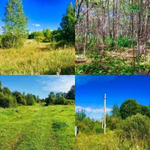 ��������� ����� ��� ������� � ��������� �� �����