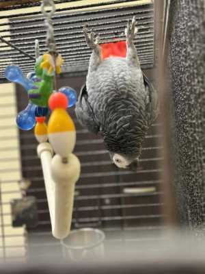 ���� ����