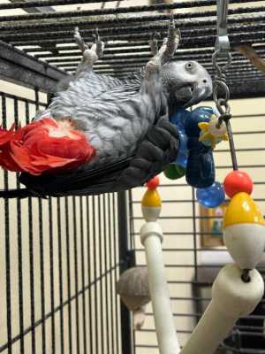 ���� ����