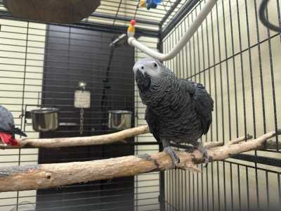 ���� ����