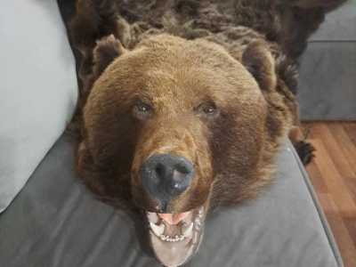 ����� �������