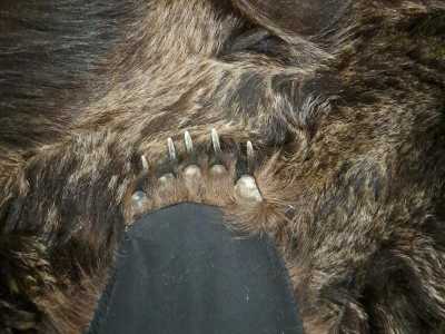 ����� �������