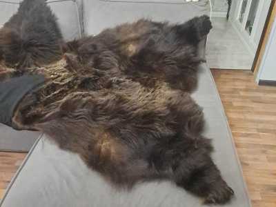 ����� �������