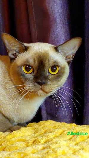 ���������� ������