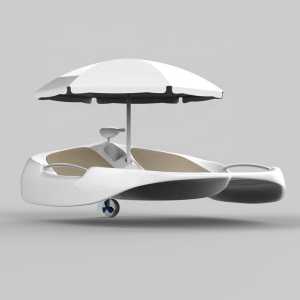 ������������� ���������-������� batboat