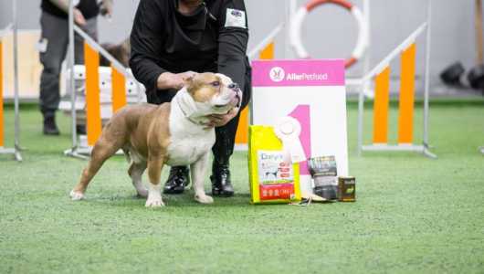 Предложение