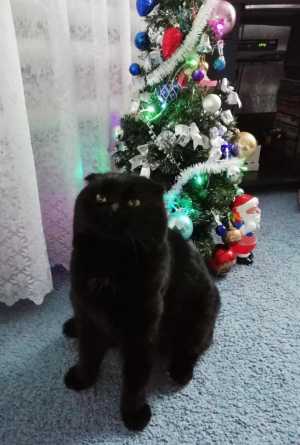 ПРИЙМУ,КУПЛЮ